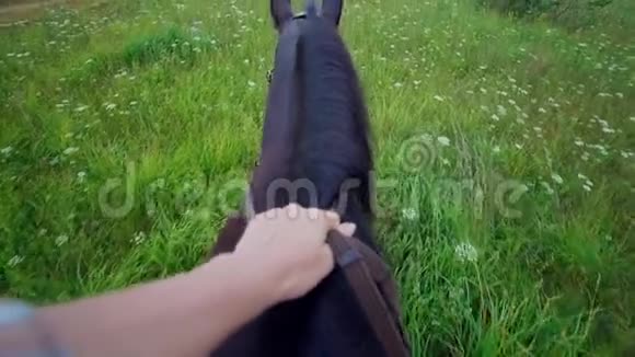 骑在马背上的骑手骑在草地上穿过夏天的田野视频的预览图