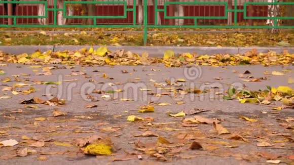 秋天的落叶在公园的小路上吹着风视频的预览图