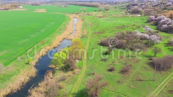 河流在绿色的春田间视频的预览图