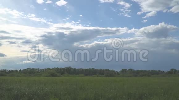 乌云笼罩着绿草和森林视频的预览图