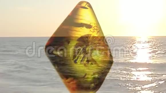 琥珀在一张有大海和日落的转桌上视频的预览图