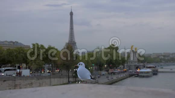 鸥对黄昏巴黎参观埃菲尔铁塔和法国海滨视频的预览图