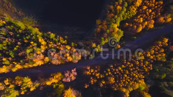 空中飞越森林之间的道路秋天的颜色视频的预览图