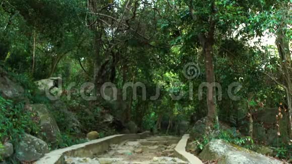 在自然公园的热带树木和植物之间的石阶楼梯步行公园里破旧的楼梯石头视频的预览图