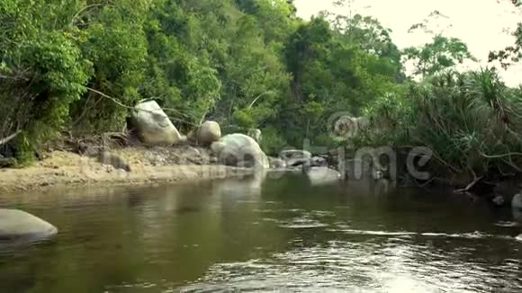 河中绿色雨林景观绿色热带森林和岩石河沿岸美丽的风景野生自然视频的预览图