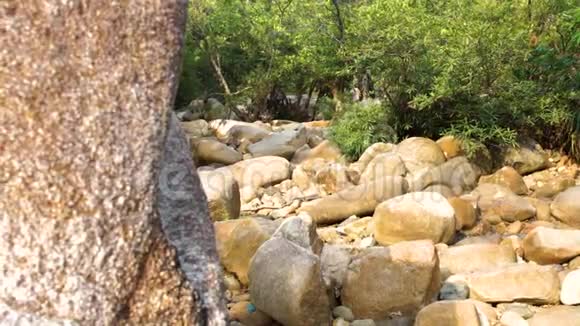 在丛林中干涸的河流中把大石头和巨石封闭起来干旱季节有大岩石的干河床干燥视频的预览图