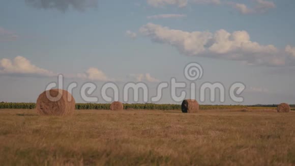 美丽的夏日农场风景与干草堆有劳斯莱斯和天空的田野景观农业概念视频的预览图