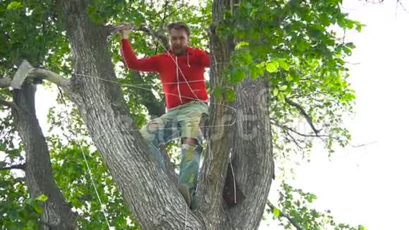 英俊的时尚男人穿着红色的帽衫穿着破牛仔裤在树上视频的预览图