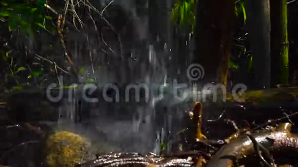 水流倾泻溅落在倒下的树上从瀑布流出的水流在树干上视频的预览图