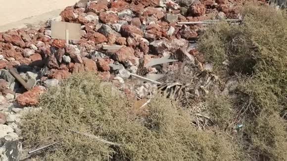 流浪狗躺在陡峭的斜坡上的石头上人们经过并拍照视频的预览图