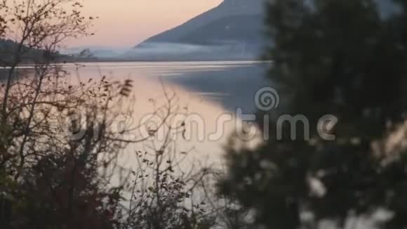 背景下的树和平静湖的近景视频的预览图