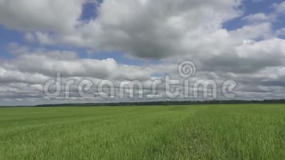 镜头移动与绿色割草背景的蓝天白云穿过田野阳光明媚视频的预览图