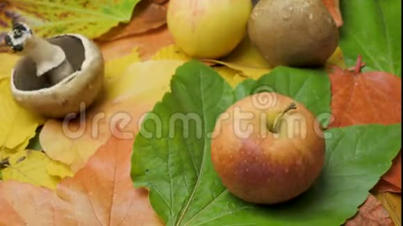 季节蔬菜秋天在叶子上视频的预览图