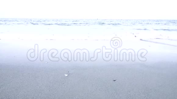 波浪接近海滩视频的预览图