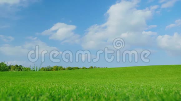 一个穿着轻便衣服的孕妇无忧无虑地走过一片绿色的草地慢动作10位视频视频的预览图