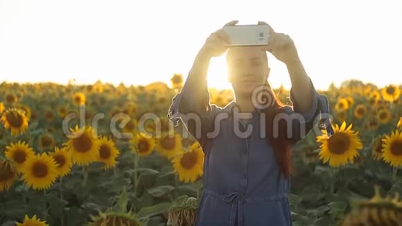 年轻漂亮的白种中年红发女子带着向日葵在田间打电话自拍视频的预览图