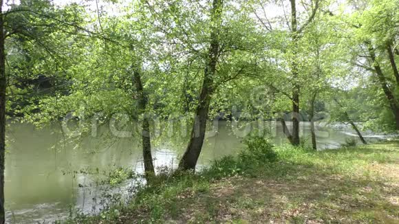 佐治亚州唐怀特公园俯瞰查塔霍切河下游树木视频的预览图