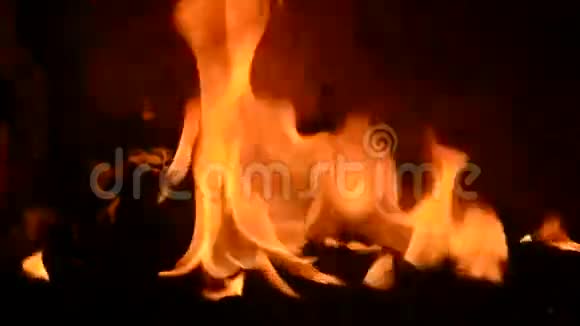 火炉里着火视频的预览图