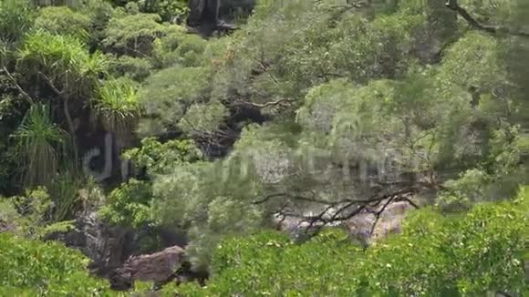 一个小瀑布从岩层中落下视频的预览图