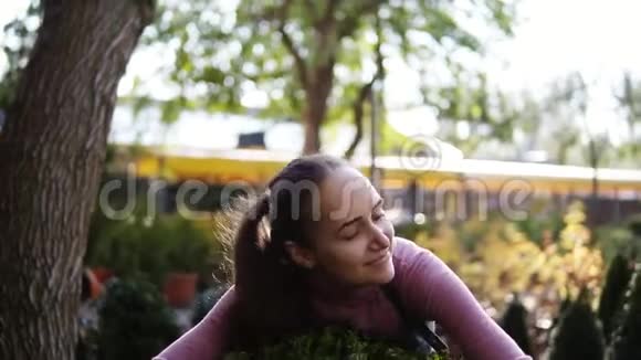 穿着围裙的年轻女花匠在温室里拥抱绿木温室里快乐的女人喜欢布克斯和视频的预览图