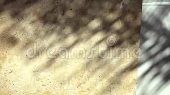 石壁上棕榈边界的阴影视频的预览图