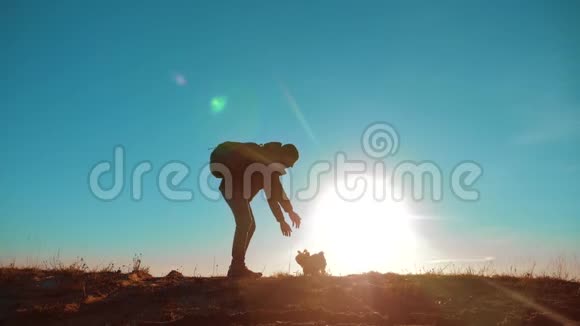 一名男性旅行者用背包把约克郡小猎犬养大阳光站在山顶上视频的预览图