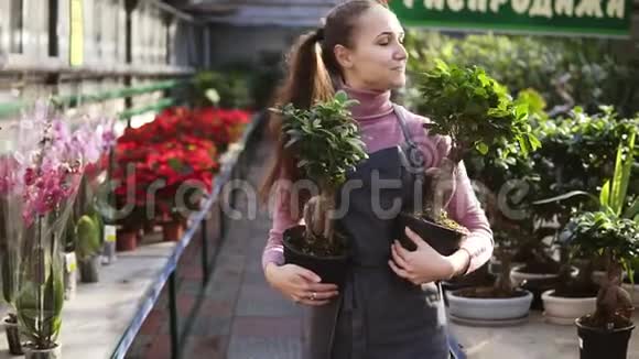 年轻的女花店女花匠扎着马尾辫穿着围裙在花店或温室里的一排排花间散步手里拿着两个视频的预览图
