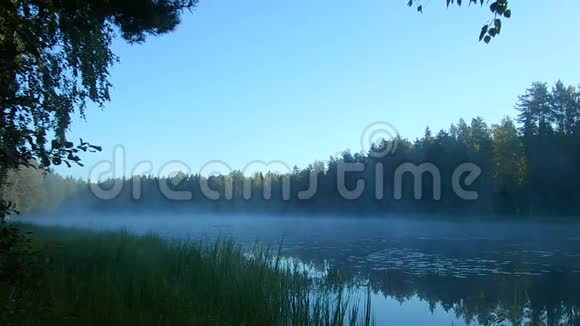 清晨的薄雾笼罩着水中初升的太阳视频的预览图