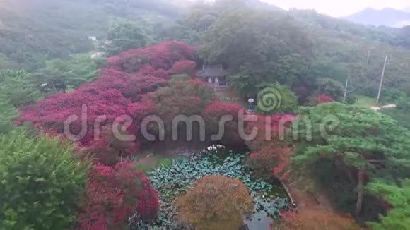 韩国传统之家Myeongokheon花园DamyangJeollanamdo韩国亚洲视频的预览图