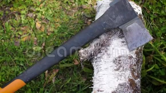 有桦树桩的斧头躺在草地上用来砍柴的现代斧头4k视频的预览图
