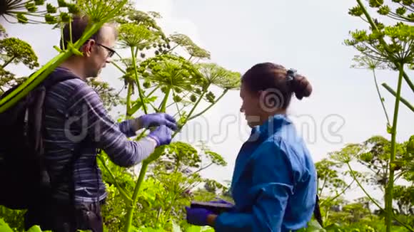 环保主义者男女检查植物视频的预览图