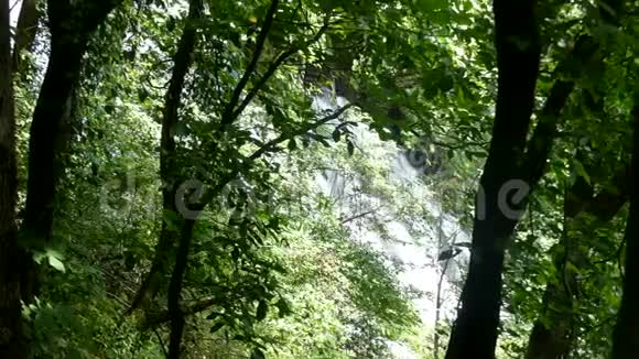佐治亚州阿莫科拉瀑布夏天从树木中俯瞰阿莫科拉瀑布视频的预览图