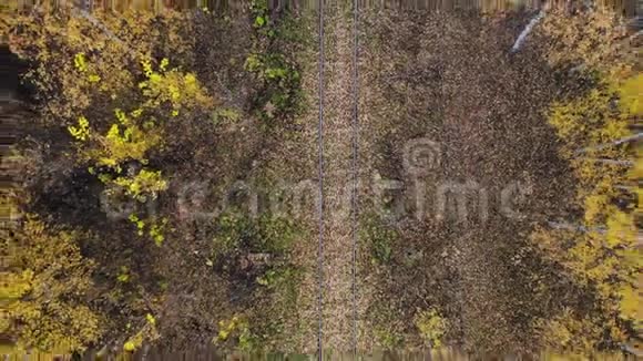 飞过穿过森林的铁路秋天空中观景摄像机上升了4K视频的预览图
