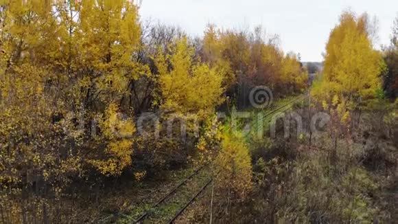 飞过穿过森林的铁路秋天空中观景摄像机上升了4K视频的预览图