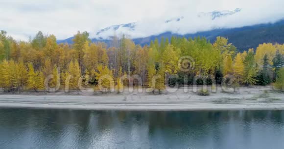 沿湖4k的秋林和山脉视频的预览图