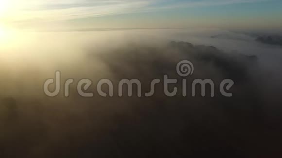 在雾蒙蒙的早晨飞越森林鸟瞰视频的预览图