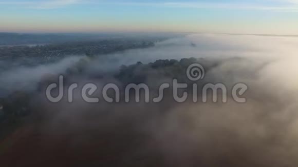 在雾蒙蒙的早晨飞越森林鸟瞰视频的预览图