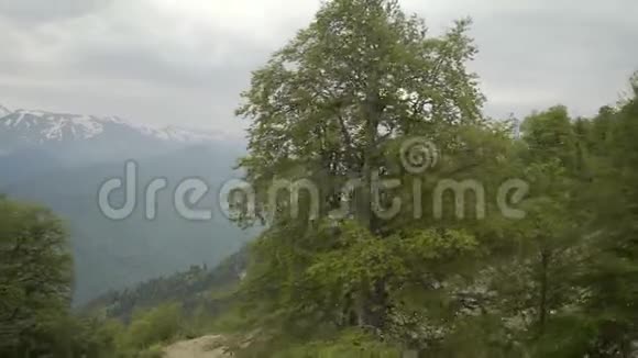 美丽的绿色山脉的空中拍摄视频的预览图