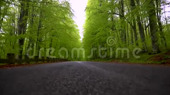 空路在青翠的春林里山林的沥青乡村道路山道季节早春的时候视频的预览图