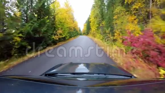 汽车在穿过秋天森林的道路上行驶4k视频的预览图