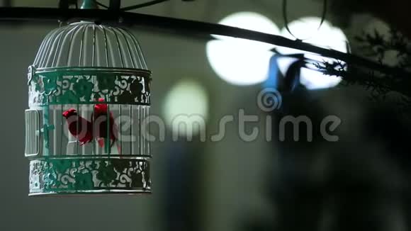 小松鸟在美丽的锁笼街道装饰内部细节视频的预览图