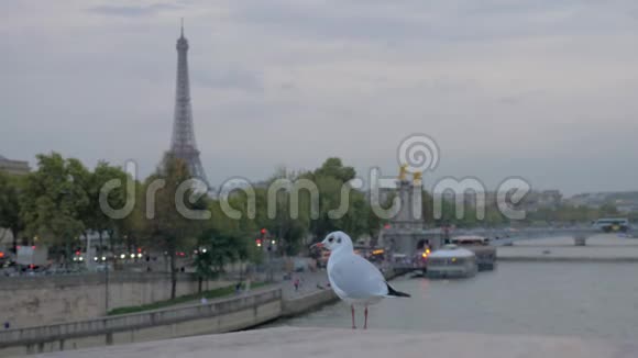 带海滨埃菲尔铁塔和飞鸥的巴黎城市景观视频的预览图