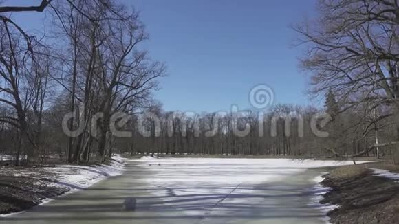 春天阳光明媚的一天森林湖上的森林湖上爆发了冰和冰洞视频的预览图