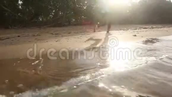 布鲁内特女孩在日出的背光下沿着水面奔跑视频的预览图