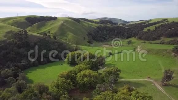新西兰景观上升空中4kMartinborough视频的预览图
