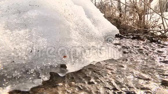 冰的春天融化视频的预览图