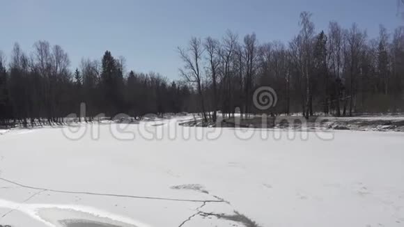 春天阳光明媚的一天森林湖上的森林湖上爆发了冰和冰洞视频的预览图