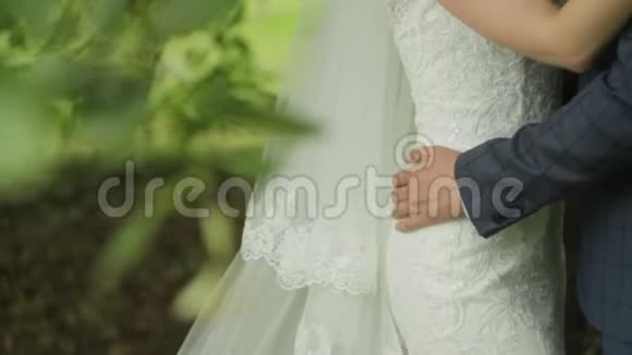 一位年轻的新娘正在拥抱她的爱人可爱的一对情侣在绿叶间的公园里拥抱着对方视频的预览图