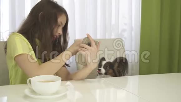 十几岁的女孩玩她的狗并通过Skype在智能手机股票视频翻译它视频的预览图