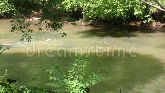 佐治亚州大溪在大溪上游缓慢流动的水流中眺望视频的预览图